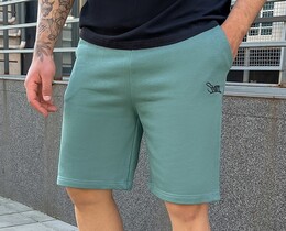 Фото - Бирюзовые трикотажные шорты Staff dje turquoise logo - Men box