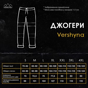 Фото - Повсякденні джогери Pobedov Vershyna сірого кольору - Men box