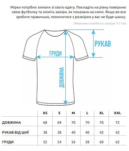 Фото - Однотонна коричнева футболка Staff reglan brown - Men box