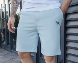 Фото - Светло-голубые мужские шорты Staff dje light blue logo - Men box