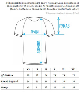 Фото - Сіра футболка із брендовим логотипом Staff gray logo - Men box