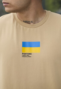 Фото - Патріотична бежева футболка Staff pantone - Men box