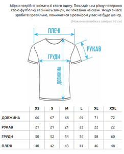 Фото - Футболка кольору графіт Staff pi graphite logo - Men box
