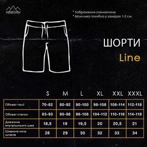 Фото - Чоловічі шорти з бавовни Pobedov Line сталевого кольору - Men box