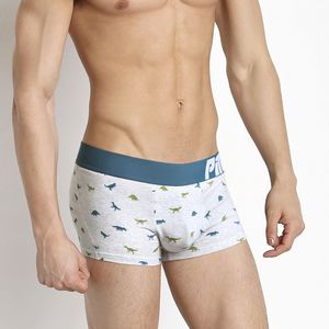 Фото - Мужские трусы "Динозавры" от Pink Hero - Men box