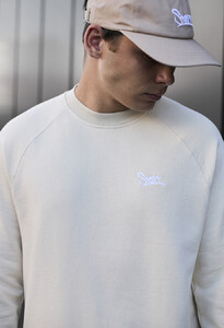 Фото - Молодежный свитшот с лого Staff milk logo - Men box