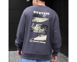 Фото - Свитшот в сером цвете Staff system - Men box