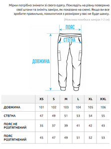 Фото - Всесезонные штаны карго Staff pf cargo gray - Men box