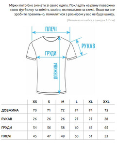 Фото - Мужская оверсайз футболка Staff light gray oversize - Men box