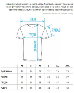 Фото - Мужская коричневая футболка Staff brown logo - Men box