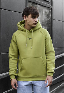 Фото - Тепле салатове худі Staff light green logo oversize fleece - Men box