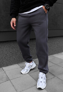 Фото - Утепленные спортивные штаны Staff trix gray fleece - Men box