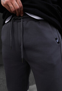 Фото - Утепленные спортивные штаны Staff trix gray fleece - Men box