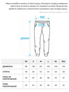 Фото - Утепленные спортивные штаны Staff trix gray fleece - Men box