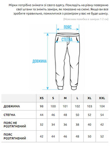 Фото - Спортивні штани на флісі Staff cargo black fleece - Men box