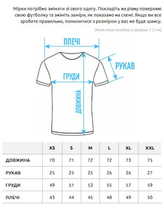 Фото - Футболка світло-сірого кольору Staff light gray logo - Men box