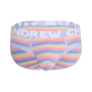 Фото - Полосатые брифы от Andrew Christian Baby Unicorn Stripe - Men box