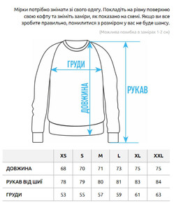 Фото - Теплый свитшот с драконом Staff dragon oversize fleece - Men box