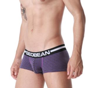 Фото - Боксеры  фиолетового цвета Seobean - Men box
