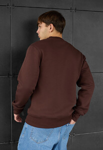Фото - Однотонный коричневый свитшот Staff brown basic fleece - Men box