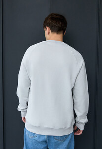 Фото - Базовый светло-серый свитшот Staff light gray logo - Men box