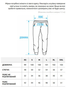 Фото - Темно-серые спортивные штаны Staff rox logo dark gray - Men box