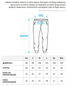 Фото - Мужские спортивные штаны Staff nib light gray - Men box