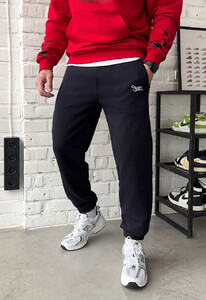 Фото - Всесезонні темно-сині спортивки Staff nib navy - Men box