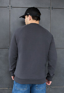 Фото - Универсальный мужской свитшот Staff dark gray logo - Men box