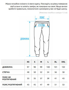 Фото - Універсальні штани джоггери Staff gu gray logo - Men box