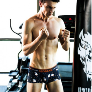 Фото - Чоловічі труси боксерки Seobean. Колір темно-синій. Артикул: 04-0287 - Men box