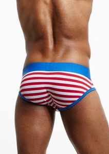 Фото - Синие брифы с красными полосками  Seeinner - Men box