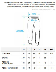 Фото - Світло-сірі спортивні штани Staff al light gray - Men box