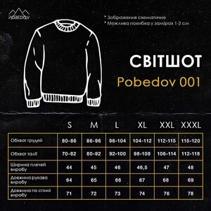 Фото - Однотонний світшот від бренду Pobedov 001 у шоколадному кольорі - Men box