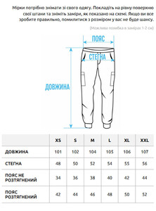 Фото - Однотонные штаны карго черного цвета Staff cargo dn black - Men box