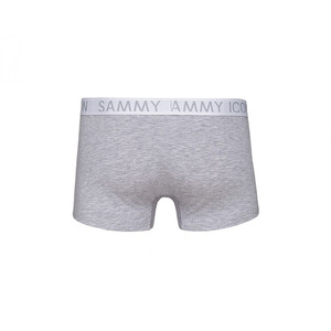 Фото - Універсальні чоловічі боксери Sammy Icon Pinnacle Boxers - Men box