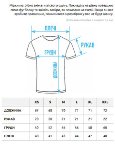 Фото - Світло-сіра футболка з лого Staff pi light gray2 logo - Men box