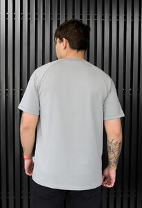 Фото - Универсальная футболка в сером цвете Staff light gray logo - Men box