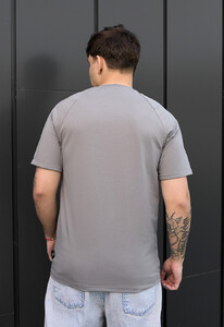 Фото - Повседневная футболка в сером цвете Staff gray logo - Men box