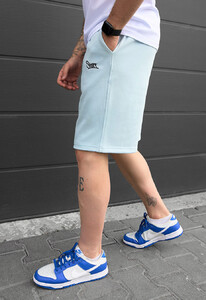 Фото - Трикотажные шорты светло-голубого цвета Staff dje light blue logo - Men box
