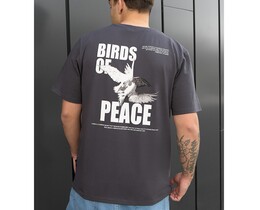 Фото - Универсальная серая футболка с принтом Staff birds of peace - Men box
