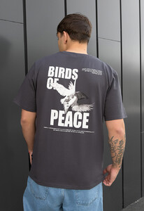 Фото - Універсальна сіра футболка із принтом Staff birds of peace - Men box