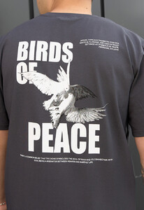 Фото - Універсальна сіра футболка із принтом Staff birds of peace - Men box