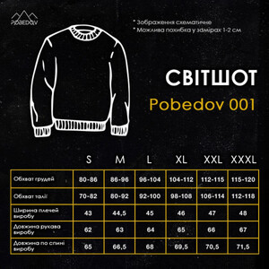 Фото - Чоловічий базовий світшот Pobedov 001 у кольорі сірий меланж - Men box