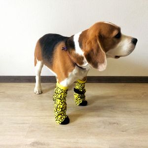 Фото - Носки короткие Sunny Focks "Смайлики" желтые - Men box