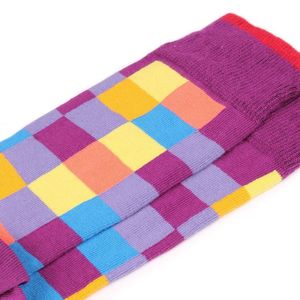 Фото - Шкарпетки від Sammy Icon Squares в різнокольорову клітинку - Men box