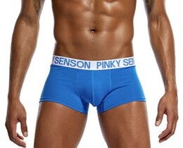 Фото - Чоловічі труси Pinky Senson блакитні з білою резинкою - Men box