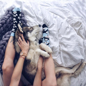 Фото - Разнопарные носки Balto от Sammy Icon с хаски - Men box