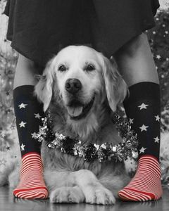 Фото - Носки в стиле американского флага от Friendly Socks - Men box