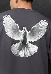 Фото - Сіра оверсайз футболка Staff dove oversize - Men box